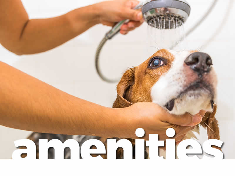 Amenities